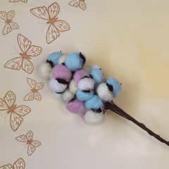 Сухоцвет Хлопок 10шт в 1 букете МУЛЬТИКОЛОР