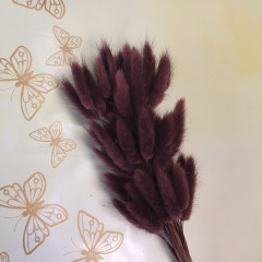 Сухоцвет Лагурус 60шт/пач ВИННЫЙ