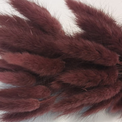 Сухоцвет Лагурус 60шт/пач ВИННЫЙ