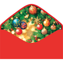 Конверт для денег  Волшебного Нового года!
