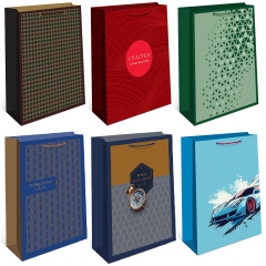 Пакет подарочный 18*22,3*10 см Мужской Микс №1 (6в*1)