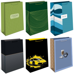 Пакет подарочный 18*22,3*10 см Мужской Микс №2 (6в*1)