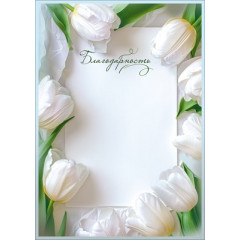 Благодарность