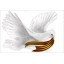 Наклейка "Голубь с георгиевской ленточкой"
