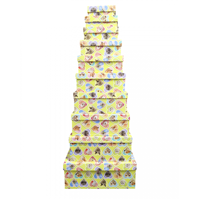 Набор подарочных коробок из 10 шт ПРЯМОУГОЛЬНИК 32,5*20*12,5/12*7*4 см ЗВЕРЮШКИ МЕМЫ