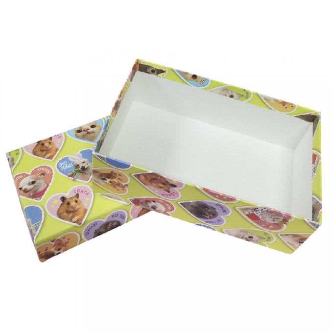 Набор подарочных коробок из 10 шт ПРЯМОУГОЛЬНИК 32,5*20*12,5/12*7*4 см ЗВЕРЮШКИ МЕМЫ