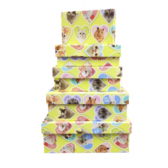 Набор подарочных коробок из 10 шт ПРЯМОУГОЛЬНИК 32,5*20*12,5/12*7*4 см ЗВЕРЮШКИ МЕМЫ