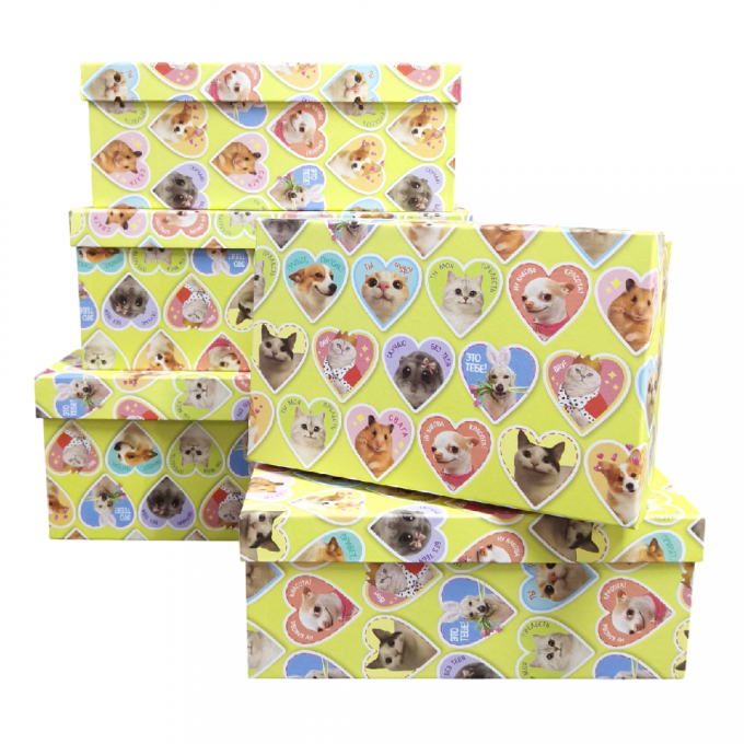 Набор подарочных коробок из 10 шт ПРЯМОУГОЛЬНИК 32,5*20*12,5/12*7*4 см ЗВЕРЮШКИ МЕМЫ