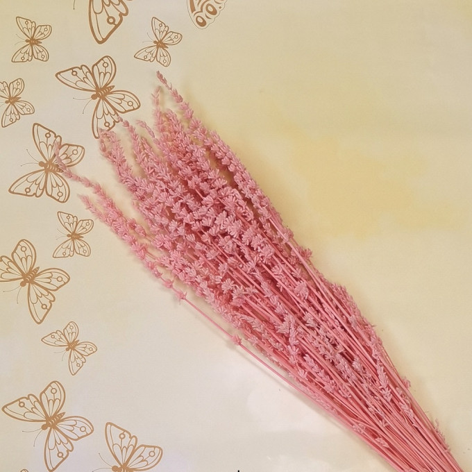 Сухоцвет Лаванда РОЗОВЫЙ 70 гр