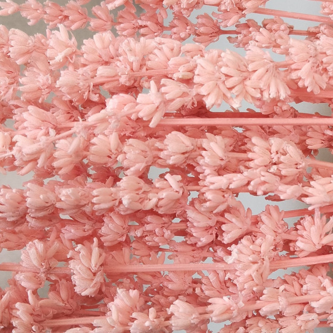 Сухоцвет Лаванда РОЗОВЫЙ 70 гр