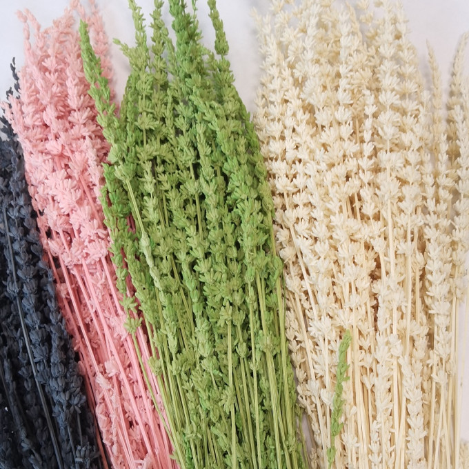 Сухоцвет Лаванда РОЗОВЫЙ 70 гр