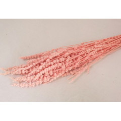 Сухоцвет Лаванда РОЗОВЫЙ 70 гр