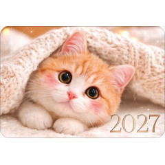 Календарь карманный 2027