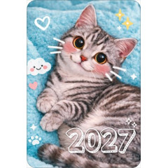 Календарь карманный 2027