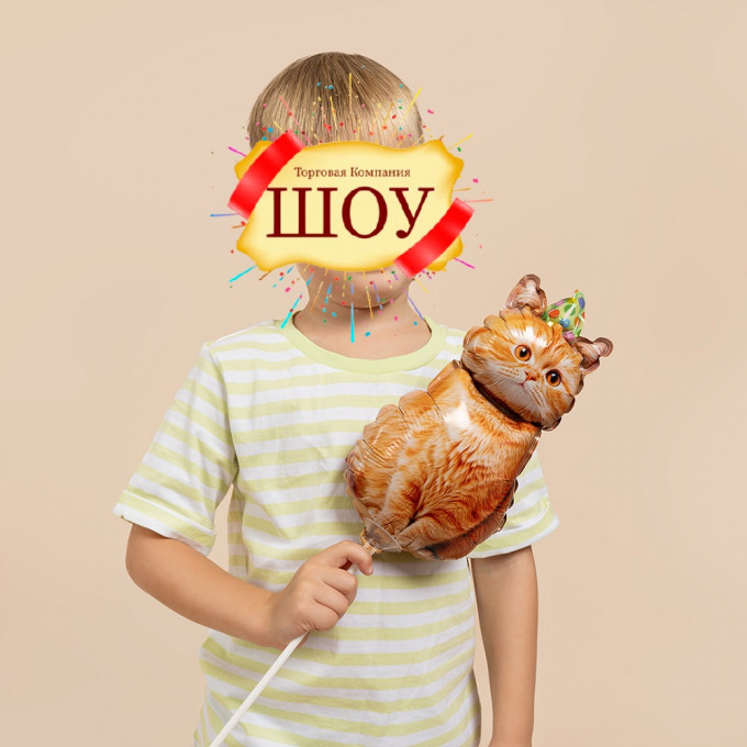 Воздушный шар фольгированный Мини-фигура 17"/43 см Котик в колпачке