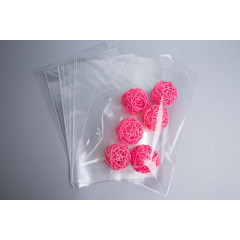 Пакет прозр/прозр 20*30см 50 шт