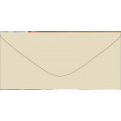 Конверт для денег без надписи