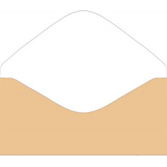 Конверт для денег Без надписи