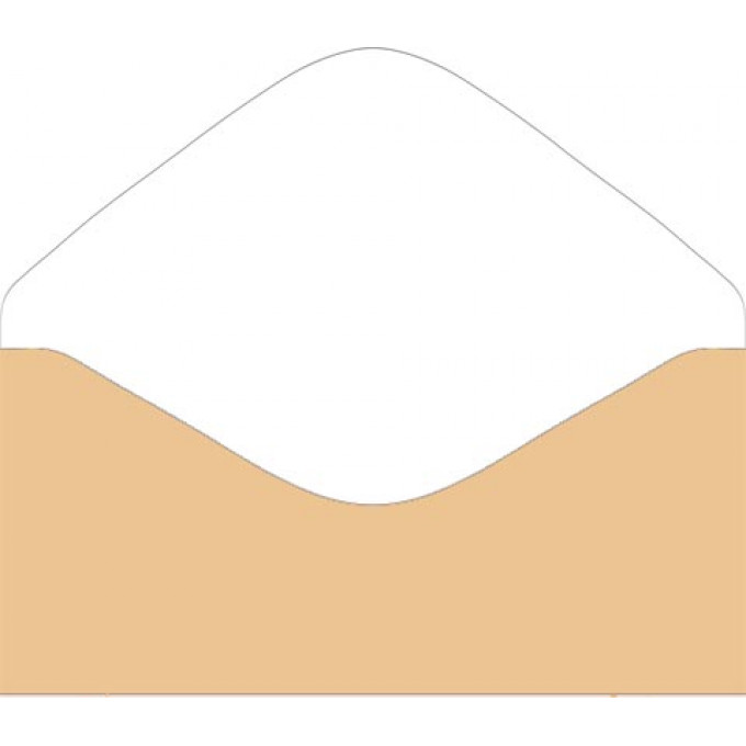 Конверт для денег Без надписи