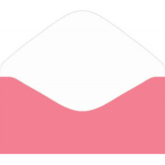 Конверт для денег Без надписи