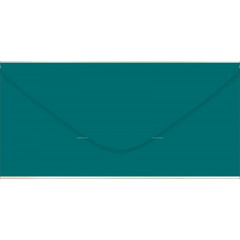 Конверт для денег "С Днём рождения! Выпь!"