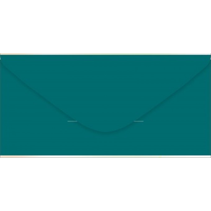 Конверт для денег "С Днём рождения! Выпь!"