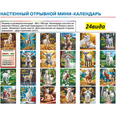 Календарь настенный мини отрывной на 2027 год Символ года МИКС (24в*1)