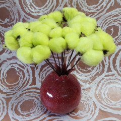 Сухоцвет Хлопок 10шт в 1 букете ЛИМОННЫЙ