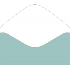 Конверт для денег Без надписи