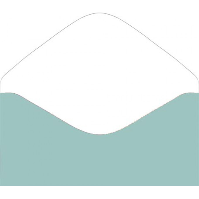 Конверт для денег Без надписи