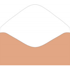 Конверт для денег С уважением (ФС)