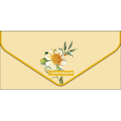 Конверт для денег С Днем рождения