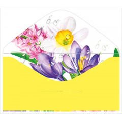 Конверт для денег без надписи