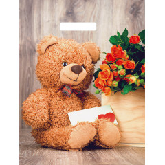 Пакет с вырубной ручкой 31х40 см глянец Тедди