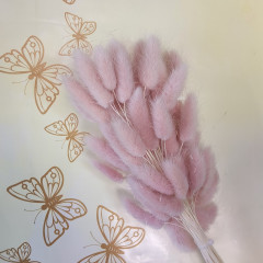 Сухоцвет Лагурус 60шт/пач СВЕТЛО-ЛИЛОВЫЙ