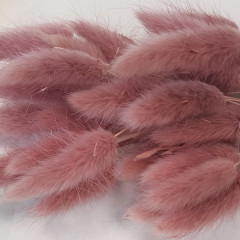 Сухоцвет Лагурус 60шт/пач СВЕТЛО-КАРАМЕЛЬНЫЙ