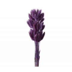 Сухоцвет Лагурус 60шт/пач ПУРПУРНЫЙ