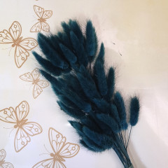 Сухоцвет Лагурус 60шт/пач ИЗУМРУДНЫЙ