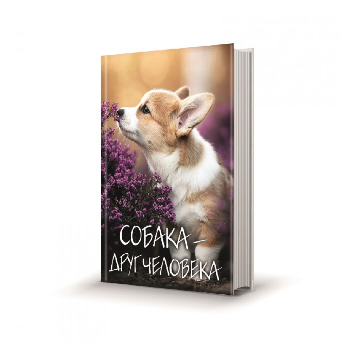 Магнит мини-книжка том 211 Собака-друг человека. Корги