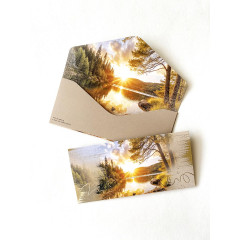 Конверт для денег Без надписи