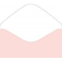 Конверт для денег без надписи