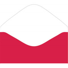 Конверт для денег без надписи