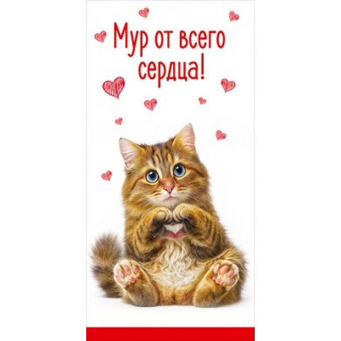 Конверт для денег "Мур от всего сердца!"