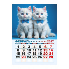 Календарь отрывной на магните на 2027 год "Котята"