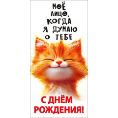 Конверт для денег "С днём рождения!" (рыжий кот)