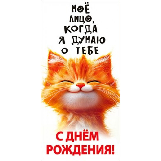 Конверт для денег "С днём рождения!" (рыжий кот)