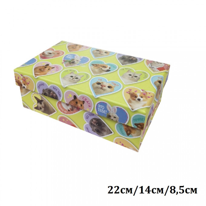 Коробка подарочная Прямоугольник 22*14*8,5 см ЗВЕРЮШКИ МЕМЫ