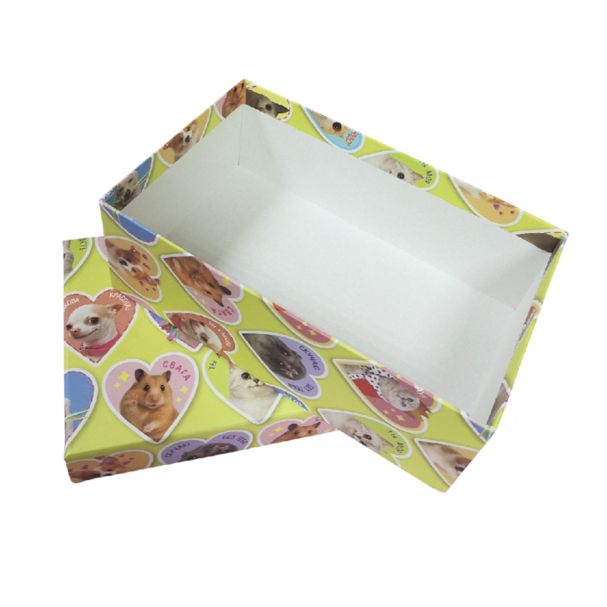 Коробка подарочная Прямоугольник 22*14*8,5 см ЗВЕРЮШКИ МЕМЫ