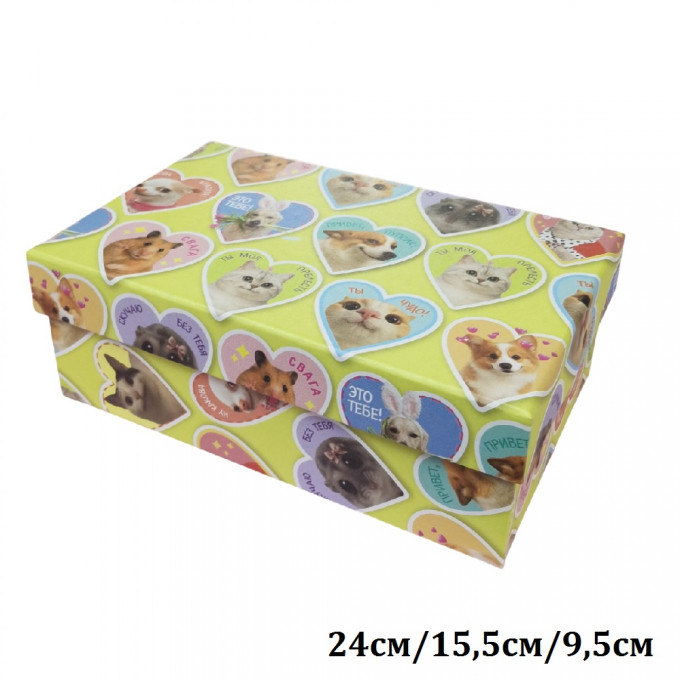 Коробка подарочная Прямоугольник 24*15,5*9,5 см ЗВЕРЮШКИ МЕМЫ