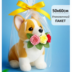 Пакет прозр/прозр 50*60 см